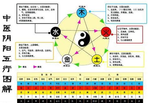 金為何生水|揭祕：金為什麼生水？五行相生相剋的奧祕大公開！